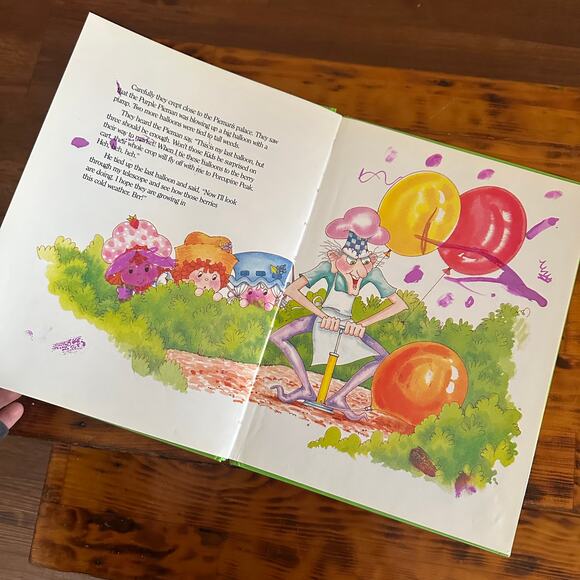 Vintage 1983 Strawberry Shortcake And Sad Mr. Sun Hardcover Book - Picture 6 of 13